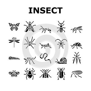 Insect, Spider And Bug Wildlife Icons Set Vector