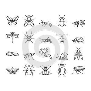 Insect, Spider And Bug Wildlife Icons Set Vector .