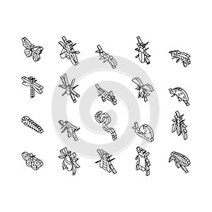 Insect, Spider And Bug Wildlife isometric icons set vector