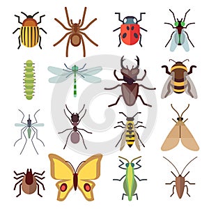 Insect vector flat icons isolated on white background