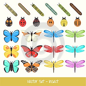 Insect Vector Set