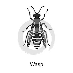 Insect wasp vector icon.Black vector icon isolated on white background insect wasp.