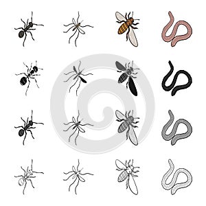 Insect, worms, earthen, and other web icon in cartoon style.Nature, ecology, bug, icons in set collection.