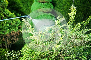 Insecticide in the Garden photo