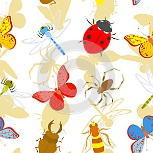 Insects