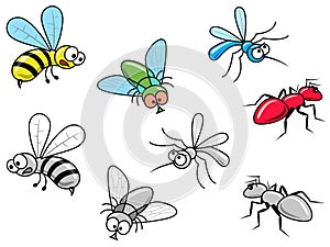 Insects