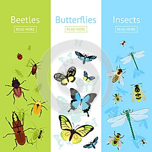 Insects banner set