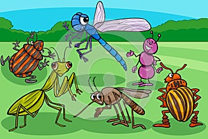 Insects and bugs funny cartoon characters group