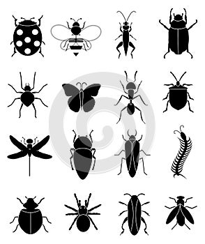 Insects bugs icons set photo