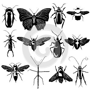 Insects and bugs in vector silhouette