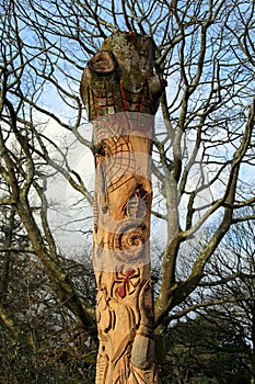 Insects carved into a tree trunk