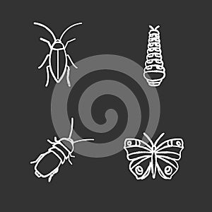 Insects chalk icons set