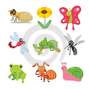 Insects character design