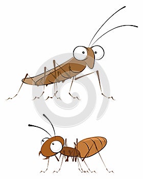 Insects - cockroach and ant