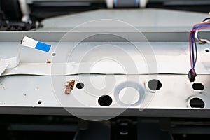 Insects, cockroaches lie inside the disassembled laser printer
