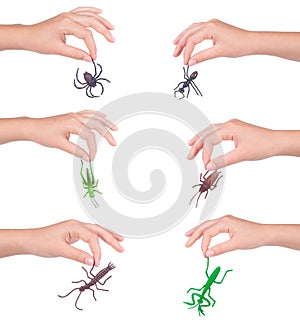 Insects in a female hand, isolated
