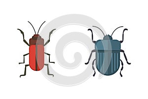 Insects flat style vector design icons. Collection nature beetle and zoology cartoon illustration. Bug icon wildlife