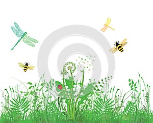 Insects flying over meadow