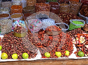 Insects Food in Mexico