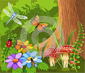 Insects in the forest