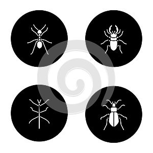 Insects glyph icons set photo