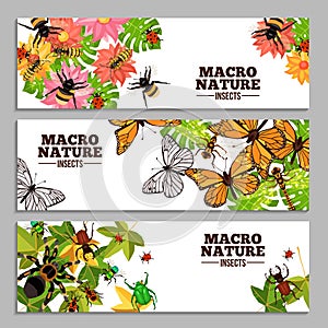 Insects Horizontal Banners