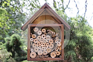 Insects hotel house protection shelter, made of wood