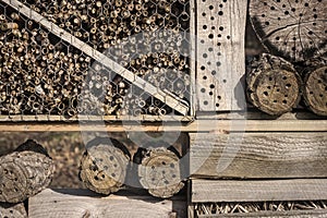 Insects hotel