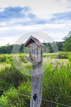 Insects Hotel in the nature reserve Sanddunes, Sandweier â€“ Baden-Baden