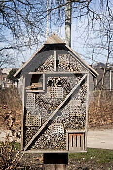 Insects hotel in a parc