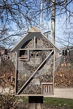 Insects hotel