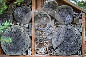 insects house, holes in the wood in which insects live. Artificially created house for insects