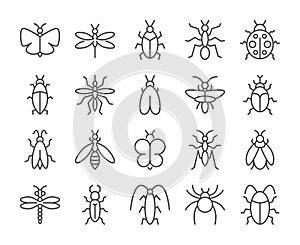Insects icon. Bugs line icons set. Vector illustration. Editable stroke.