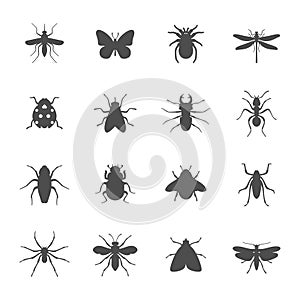 Insectos conjunto compuesto por iconos 