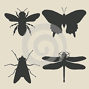 Insects icon set