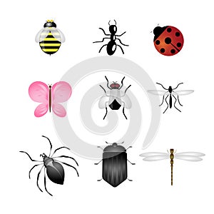 Insects icons set