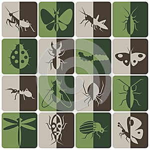 Insects icons set half