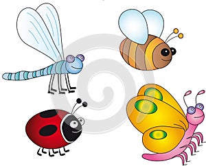 Insects illustration