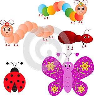 Insects Illustrations, Ladybug, Caterpillar, Ant, Butterfly