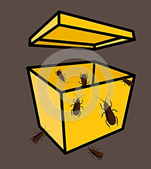 Insects in Packet Vector