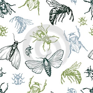 Insects Pattern.
