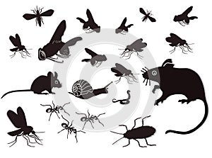 Insects and rodents