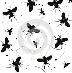 Insects's Silhouette