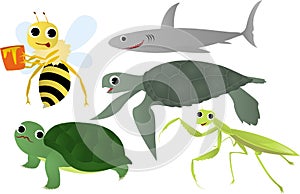 Insects and sea animal