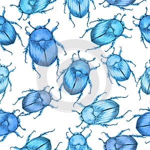 Insects seamless pattern