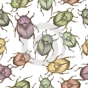 Insects seamless pattern