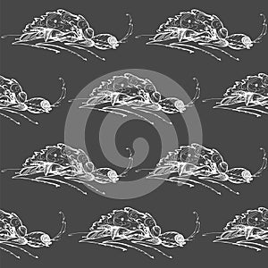 Insects seamless pattern on gray background. vector