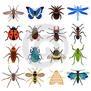 Insects set