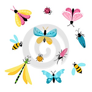 Insects set. Colorful hand-drawn butterflies, dragonfly and beetles in a simple childish cartoon style. Isolated over