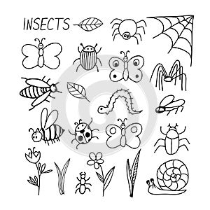 Insects set hand drawn elements in doodle style. vector scandinavian butterfly, caterpillar, beetle, spider, bee, wasp, flower,